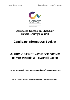 Deputy-Director-Cavan-Arts-Candidate-Info-Booklet-Sept-2023 summary image
									