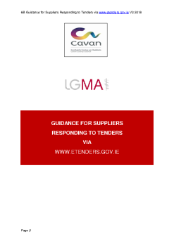Guidance for Suppliers responding to Tenders via eTenders summary image
									