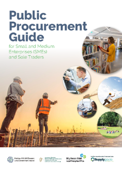 Public-Procurement-Guide-2022 summary image
									