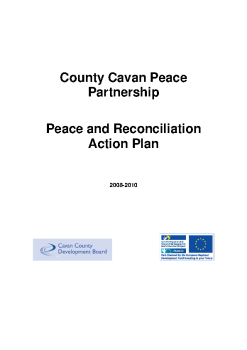 peace-plan summary image
									