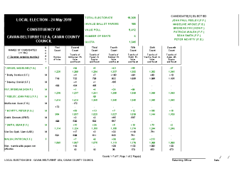 CN BEL Declaration Statement summary image
									