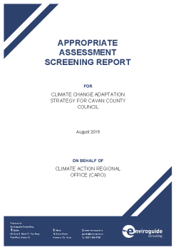 AA Screening Report_Cavan_CCAS_Final summary image
									