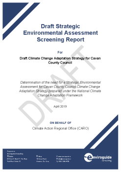 Draft SEA Screening Report_Cavan summary image
									