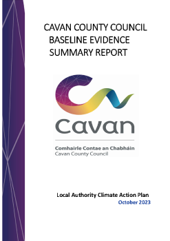 Appendix-B-Baseline-Evidence-Summary-Report--As-Issued summary image
									