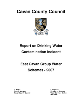 Cavan-Report-East-Cavan summary image
									