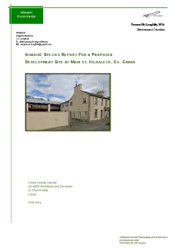 IS-Report---Kilnaleck-Briody-Site summary image
									