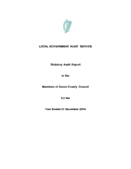 Cavan County Council Audit Report 2014 summary image
									