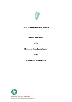 Cavan County Council Audit Report 2015 summary image
									
