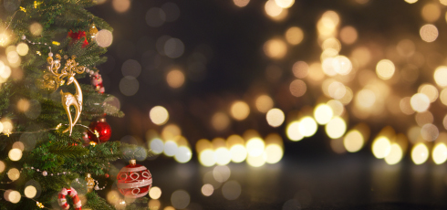 Christmas and New Year Opening Hours summary image