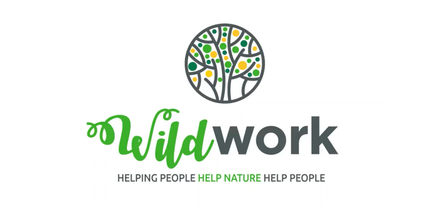 WildWork-Copy