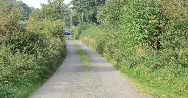 hedge cutting600x315