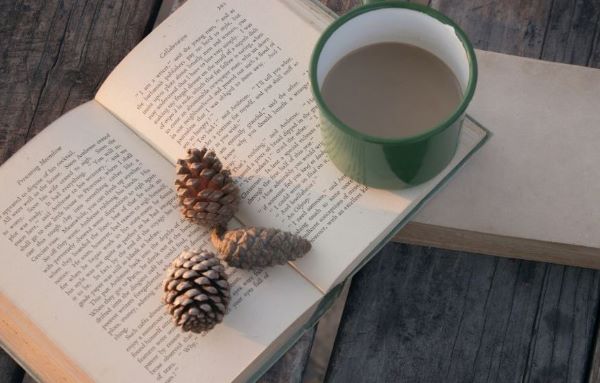 book club 600x315