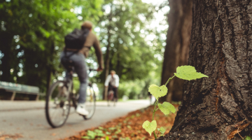 Survey - Kingscourt Town Permeability Link to Navan and Kingscourt Greenway thumbnail image