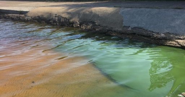 Algal-Bloom-600x315