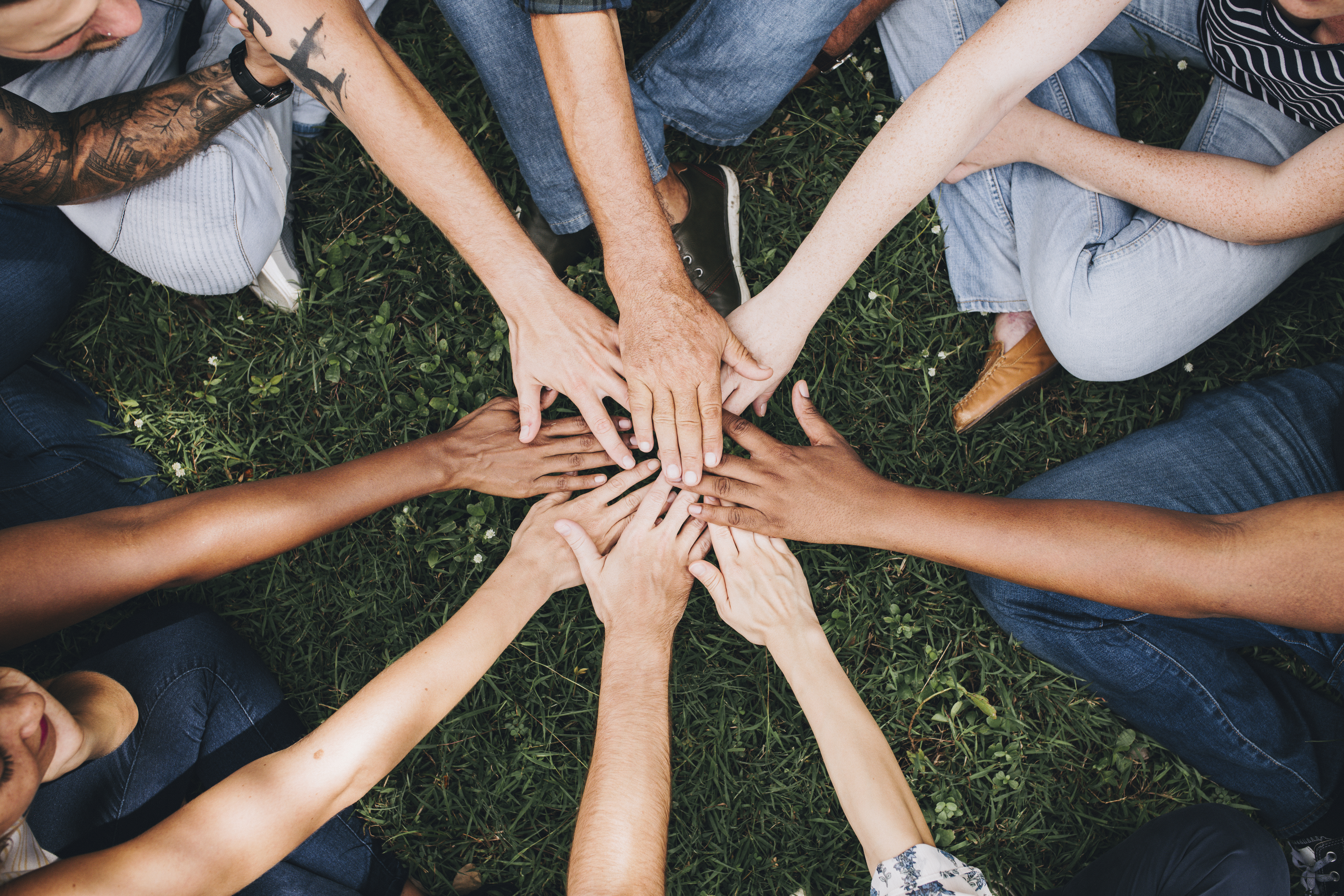 Social Integration thumbnail image