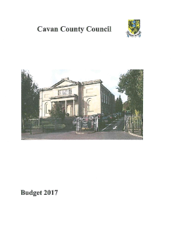 Budget-2017 summary image
									