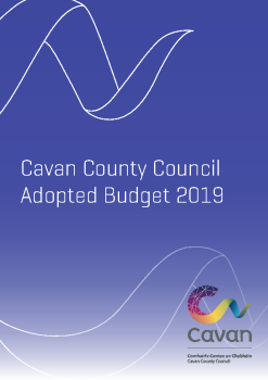Budget-2019 summary image
									