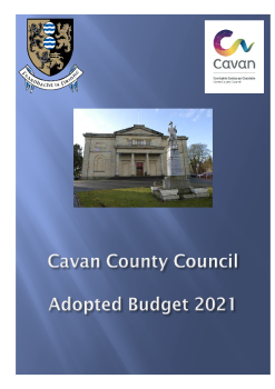 Budget-2021 summary image
									