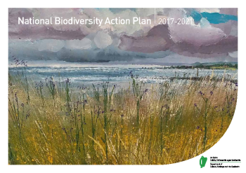 National Biodiversity Action Plan 2017-2021 summary image
									